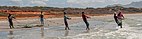 Fish in El Manglillo 12.jpg
