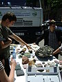 Tbilisi, Georgia — Celebration and Exhibition on Independence day, May 26, 2014 (57).JPG