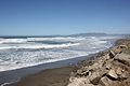 Laika ac Ocean Beach (13272771723).jpg