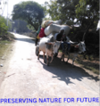 Preserving nature for future.png
