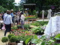 Tbilisi, Georgia — Celebration and Exhibition on Independence day, May 26, 2014 (21).JPG