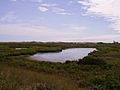 Monomoy National Wildlife Refuge, MA. Credit- USFWS (5354887707).jpg