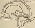 Nervous and mental diseases (1919) (14801436483).jpg