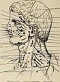 Nervous and mental diseases (1919) (14594876017).jpg