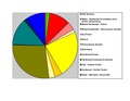 Dane County WI Pie Chart.pdf