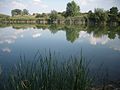 "2-es tó" Csobád - panoramio (1).jpg