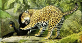 The Larger Mammals of North America - Jaguar & Currasow.png