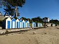 " la grande plage " a l'ile aux moines - panoramio (2).jpg