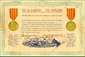 Diploma-voluntaris-catalans.jpg