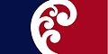 NZ flag design Unity Koru by Paul Densem.jpg