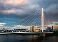 Pont Éric-Tabarly à Nantes.jpg