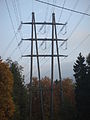Mast 301 4.jpg