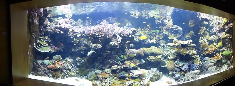 File:" l'oceanographic " a valence - panoramio.jpg