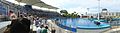 " l'oceanographic " a valence , les dauphins - panoramio.jpg