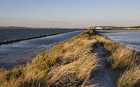 Lido de Thau, Sète cf04.jpg