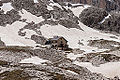 140626 Antermoiahütte.jpg