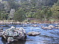 Abaconda qfse Karangahake Gorge.jpg