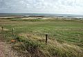 Insel Mandoe Daenemark Meerblick.jpg