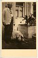 25070-Neustadt-1929-Hotel zum Stern - Einladung zum Schlachtfest-Brück & Sohn Kunstverlag.jpg