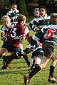 SchoolRugbyMatch.JPG