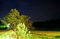 El Dorado, Misiónes, Argentina - panoramio (5).jpg