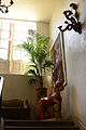 Hôtel de Pénautier-7.JPG
