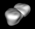 Asteroide 4769 Castalia (Immagine radar).jpg