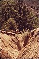 CALIFORNIA--SIERRA NATIONAL FOREST - NARA - 542605.jpg