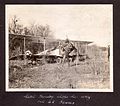 "Cadet Townsley chops his way out at Texas" Photograph of airman wielding an axe, with aircraft and two other men behind him. The aircraft has landed in an area of small trees and bushes. (3599058788).jpg