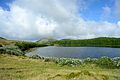 Caldeira da Lomba - Flores (Azores).jpg