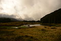 Lagoa do negro - Terceira.JPG