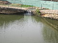 "Big Spring" of Big Spring, TX IMG 1430.JPG