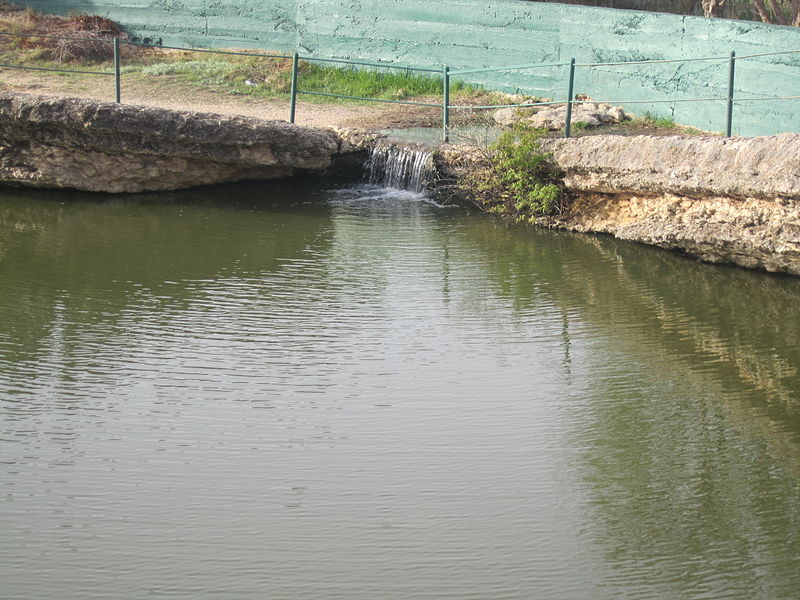 File:"Big Spring" of Big Spring, TX IMG 1430.JPG