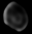 511 Davida dettaglio.png