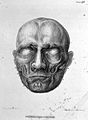 Muscles of face "Anatomy of Expression", Bell 1806 Wellcome L0010051.jpg