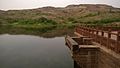 Nature at Jodhpur.jpg