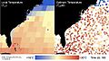 File:The-Role-of-Ocean-Currents-in-the-Temperature-Selection-of-Plankton-Insights-from-an-Individual-pone.0167010.s003.ogv