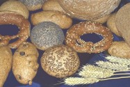 Wholemeal breads and bakery products according to the original recipes of Dr. J. G. Schnitzer