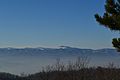 2016-01-20 Ocausko Lice.JPG