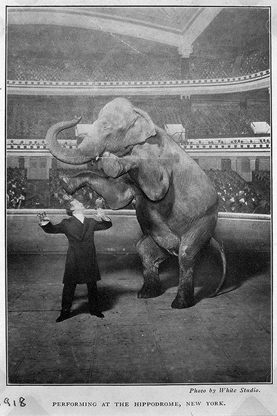 File:Houdini Hippodrome.tif